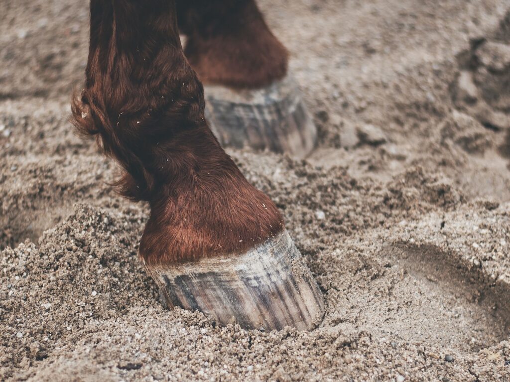 - NeposlušnéTlapky Brown and White Horse Shoe