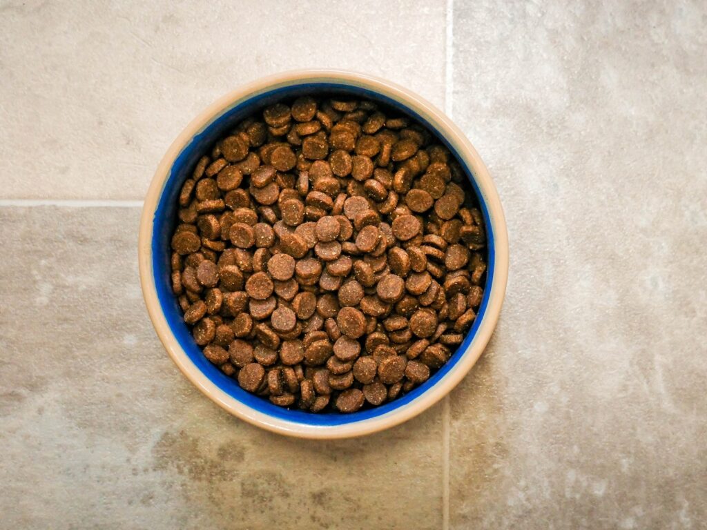 - NeposlušnéTlapky a bowl of dog food on a tile floor