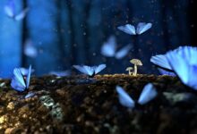 Close-up Photo of Glowing Blue Butterflies