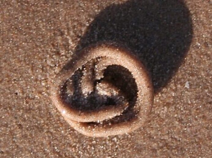 geograph.org.uk