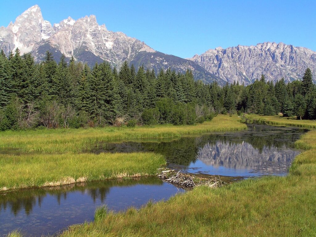 Photo by 12019 - NeposlušnéTlapky grand teton national park, wyoming, sky