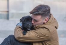 selective focus photography of man hugging black dog