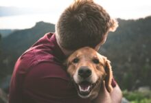 photo of man hugging tan dog