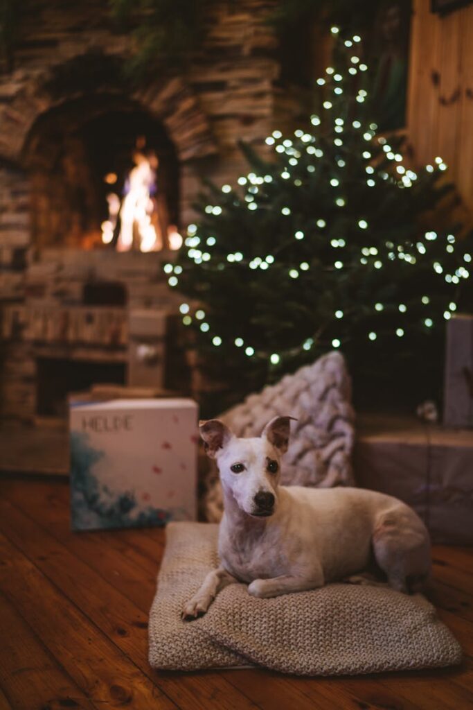 Anastasia Shuraeva - NeposlušnéTlapky A cozy living room with a Christmas tree, fireplace, and dog, creating a warm holiday ambiance.