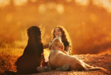 A cheerful child enjoys a warm sunset with two dogs, showcasing happiness and companionship.