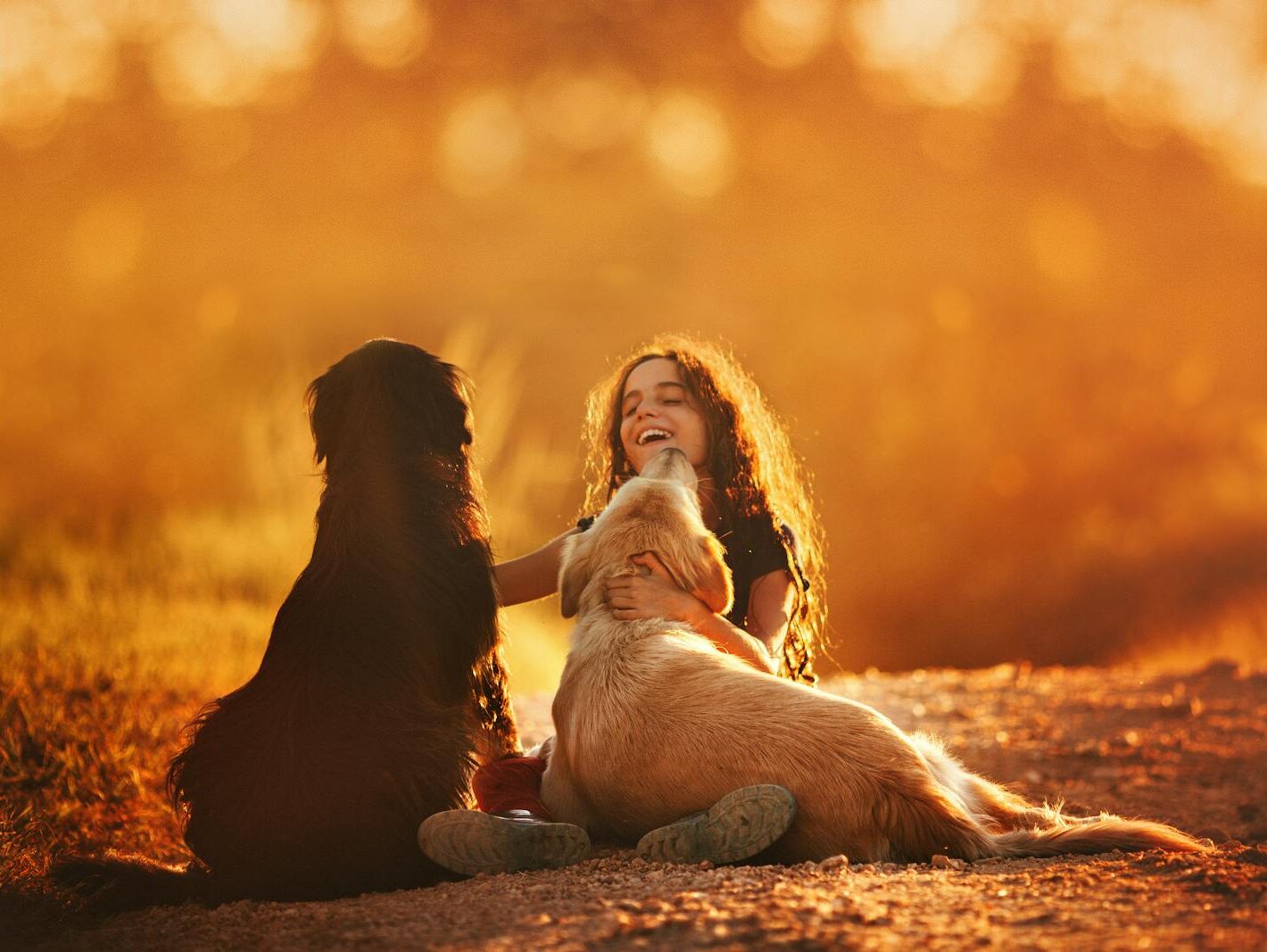 A cheerful child enjoys a warm sunset with two dogs, showcasing happiness and companionship.