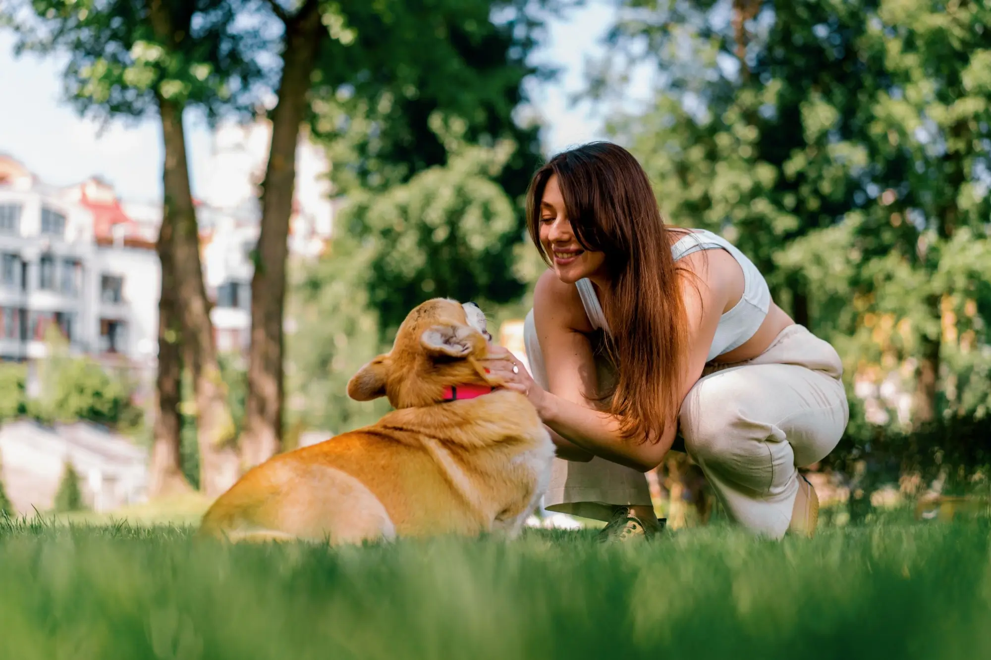 Shutterstock_2318207307 - NeposlušnéTlapky Hezká mladá slečna hrající si se psem.