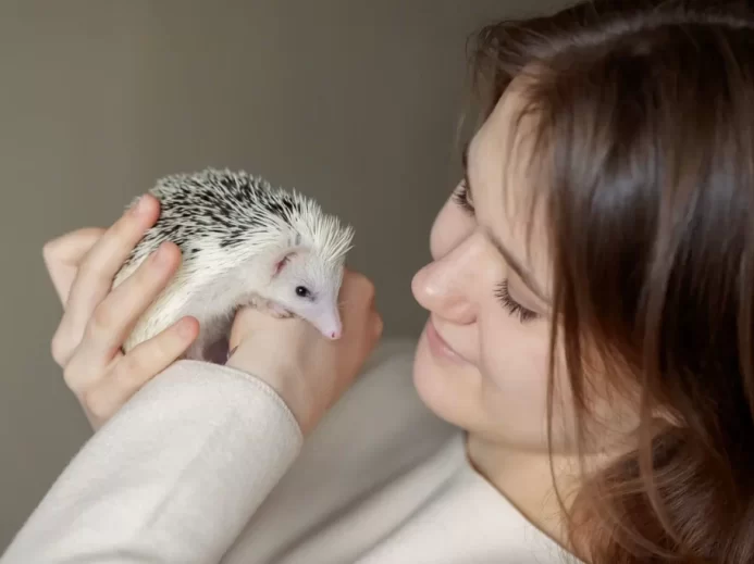 Dívka a ježek