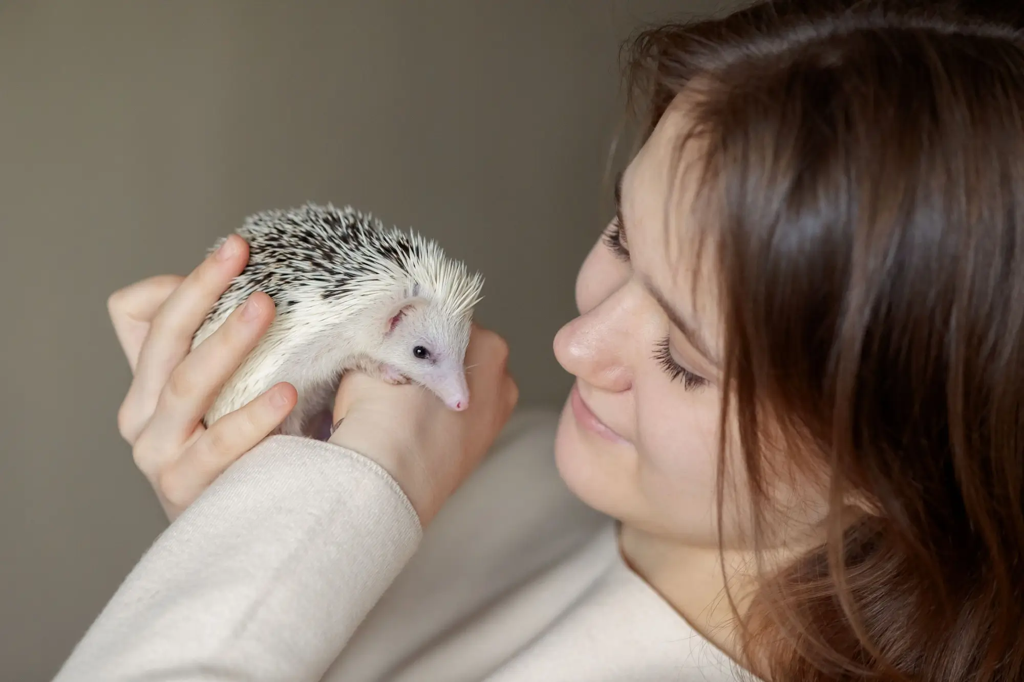 Dívka a ježek