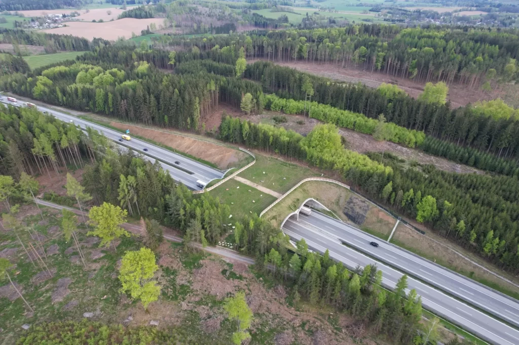 eko2 - NeposlušnéTlapky Přechod pro zvířata z leteckého pohledu