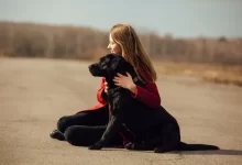 Žena objetí černý labrador