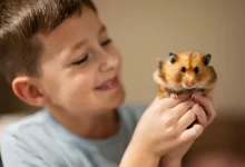 Chlapec drží v ruce křečka