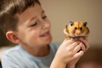 Chlapec drží v ruce křečka