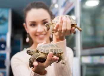 Usměvavá dívka pózuje se dvěma suchozemskými želvami