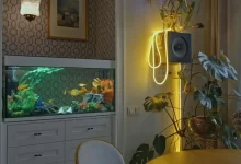 Akvárium rozveselí každou místnost.