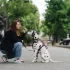 Žena klečí na ulici a dává pamlsek sedícímu dalmatinovi