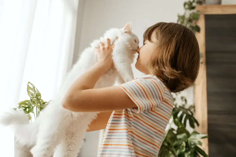 Dívka dává pusu na čumák bílé kočce