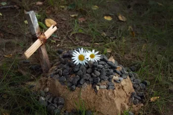 Hrobeček s dřevěným křížem a květinami