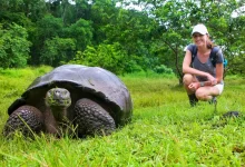 Želva obrovská s mladou ženou na ostrově Santa Cruz v Galapážském národním parku v Ekvádoru