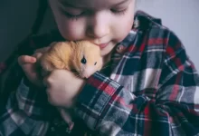 Křeček je jeden z nejoblíbenějších domácích mazlíčků.