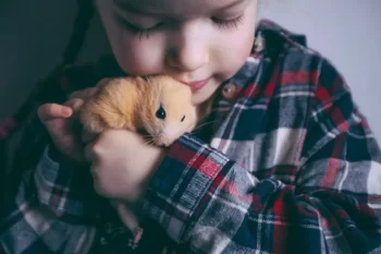 Křeček je jeden z nejoblíbenějších domácích mazlíčků.