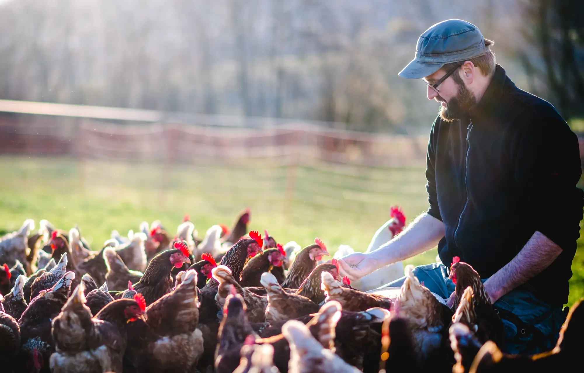 - NeposlušnéTlapky Farmář se slepicemi