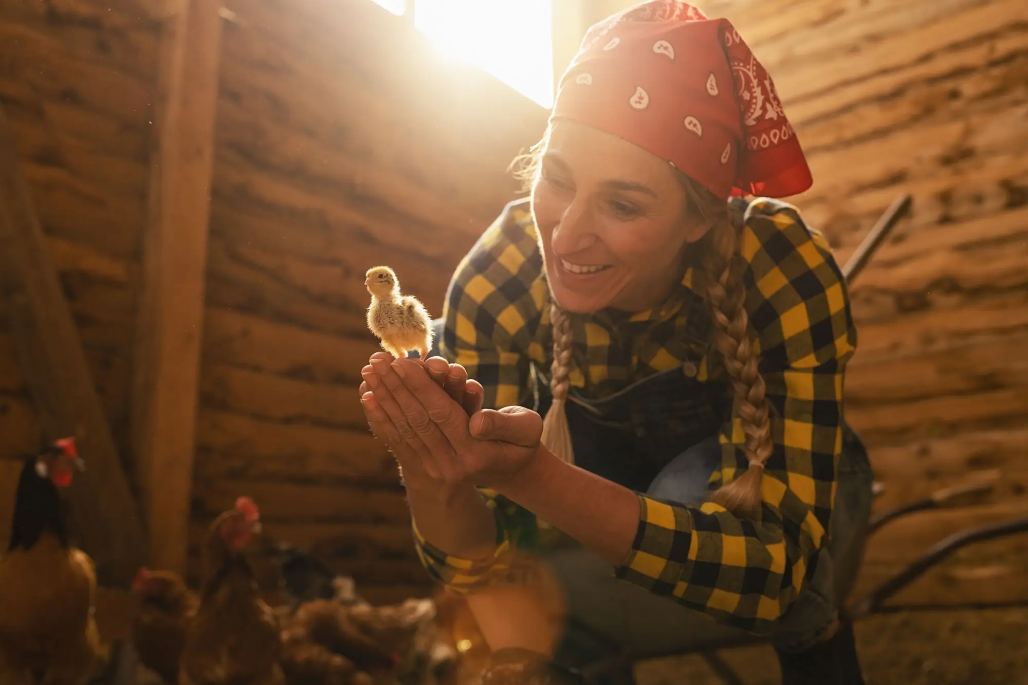 - NeposlušnéTlapky Mladá farmářka s kuřátkem.