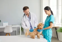 Návštěva u veterináře nemusí být planý poplach.