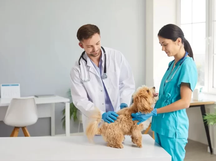 Návštěva u veterináře nemusí být planý poplach.