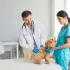 Návštěva u veterináře nemusí být planý poplach.