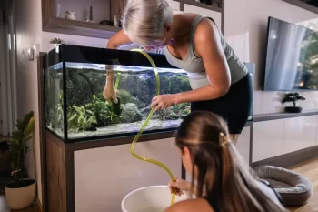 Čisté akvárium je základem pro zdravé rybičky.