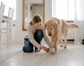 Dívka krmí psa