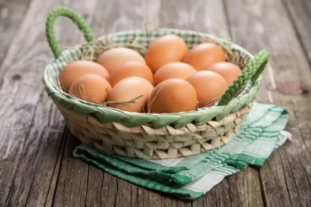 Košík vajec je výsledkem správné péče