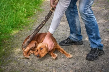 Člověk drží psa za krk a ohání se silnou větví, zatímco pes leží na zemi ve strachu