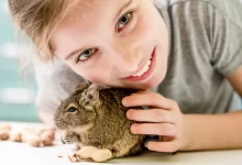 Děvče s osmákem degu
