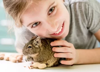 Děvče s osmákem degu