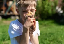 Chlapec v bílém tričku drží před obličejem v dlaních křečka