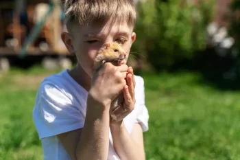 Chlapec v bílém tričku drží před obličejem v dlaních křečka