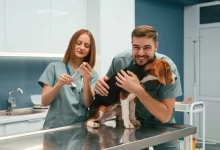 Dvojice lékařů drží v ordinaci malého psa