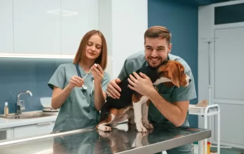 Dvojice lékařů drží v ordinaci malého psa