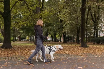 Paní se slepeckou hůlkou a psem
