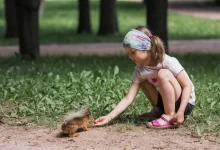 Dívka krmí veverku z ruky