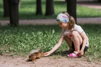 Dívka krmí veverku z ruky