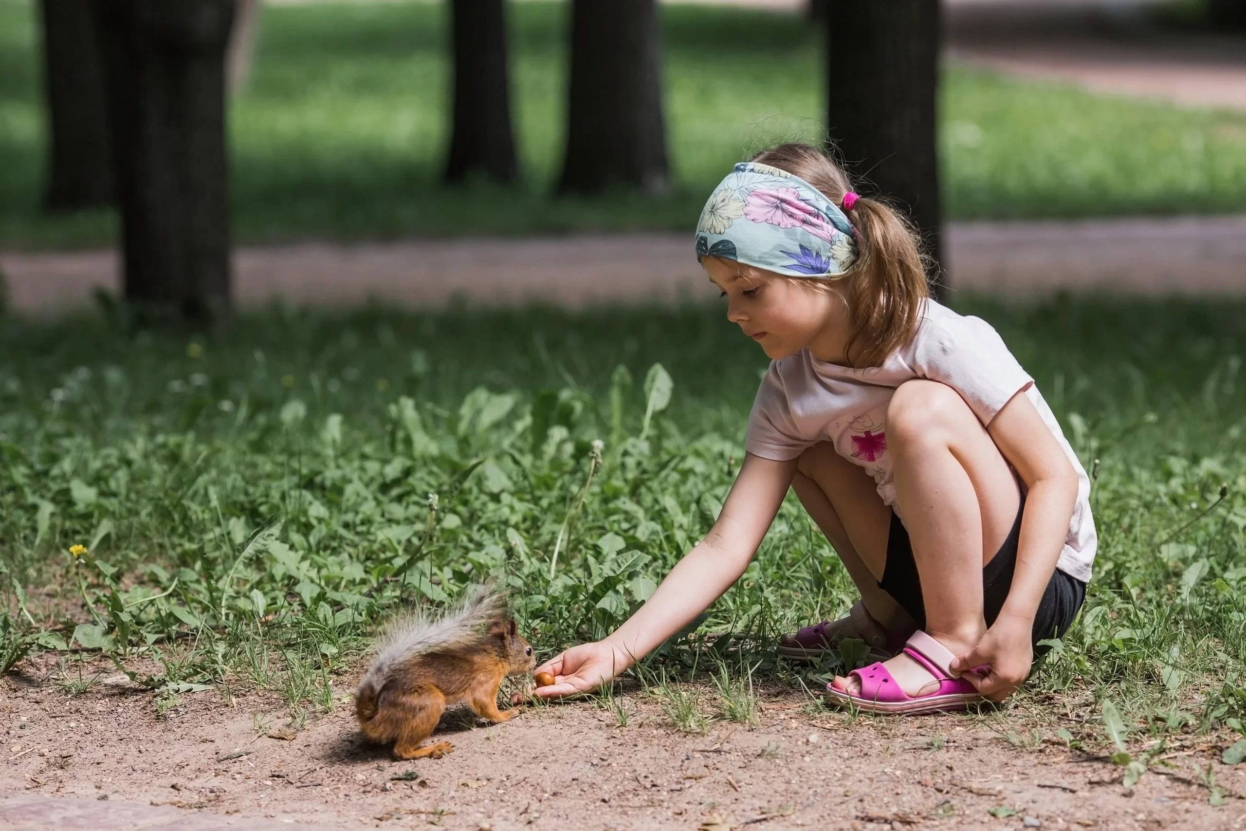 Dívka krmí veverku z ruky