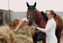 Dívka s koněm