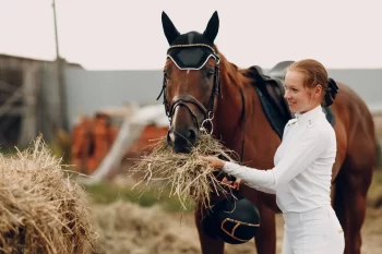Dívka s koněm