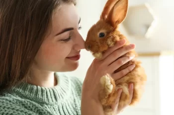 žena a králík