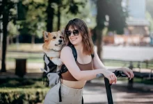 Jak vybrat batoh pro mazlíčka?