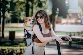 Jak vybrat batoh pro mazlíčka?