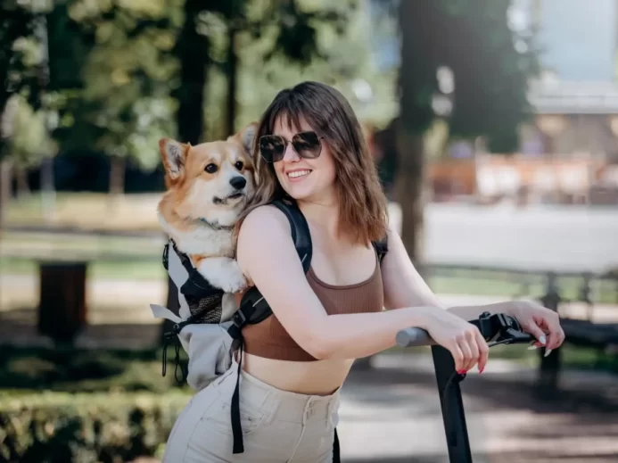 Jak vybrat batoh pro mazlíčka?